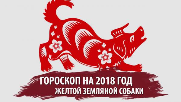 Персональный гороскоп на 2019 год