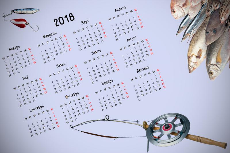 Лунный календарь рыболова на год