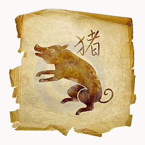 Свинья восточный, китайский гороскоп, совместимость и характеристика