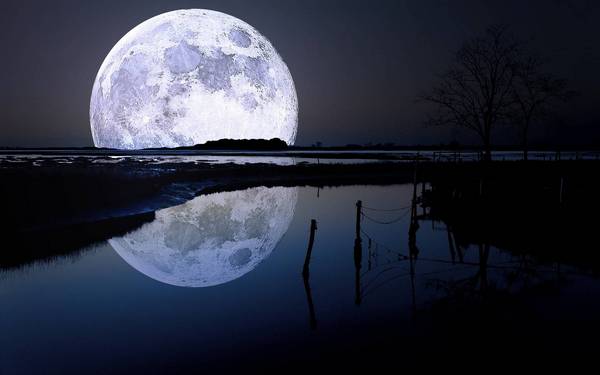 Лунный день сегодня 23 ноября 2018, 16-ый лунный день, Полная Луна	
