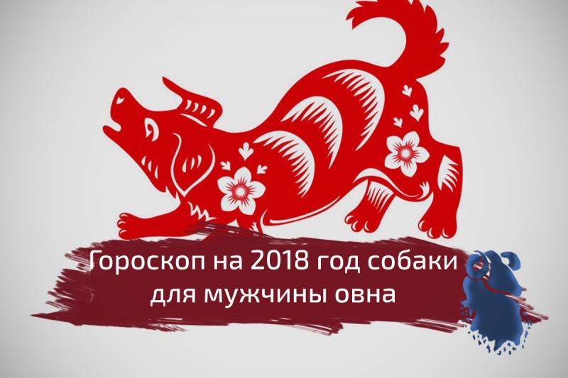 Гороскоп на 2018 год Собаки для мужчины Овна