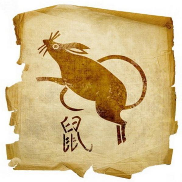 Крыса восточный, китайский гороскоп по годам, характеристика и совместимость