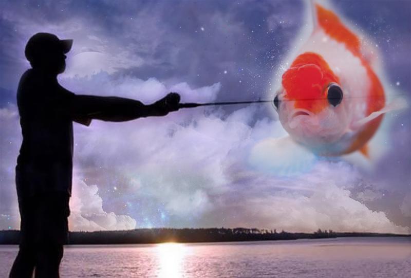 Приснился сон поймал рыбу