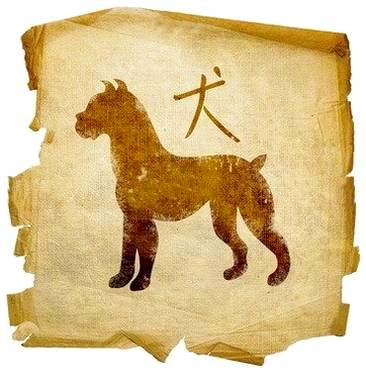 Собака восточный, китайский гороскоп по годам, характеристика и совместимость
